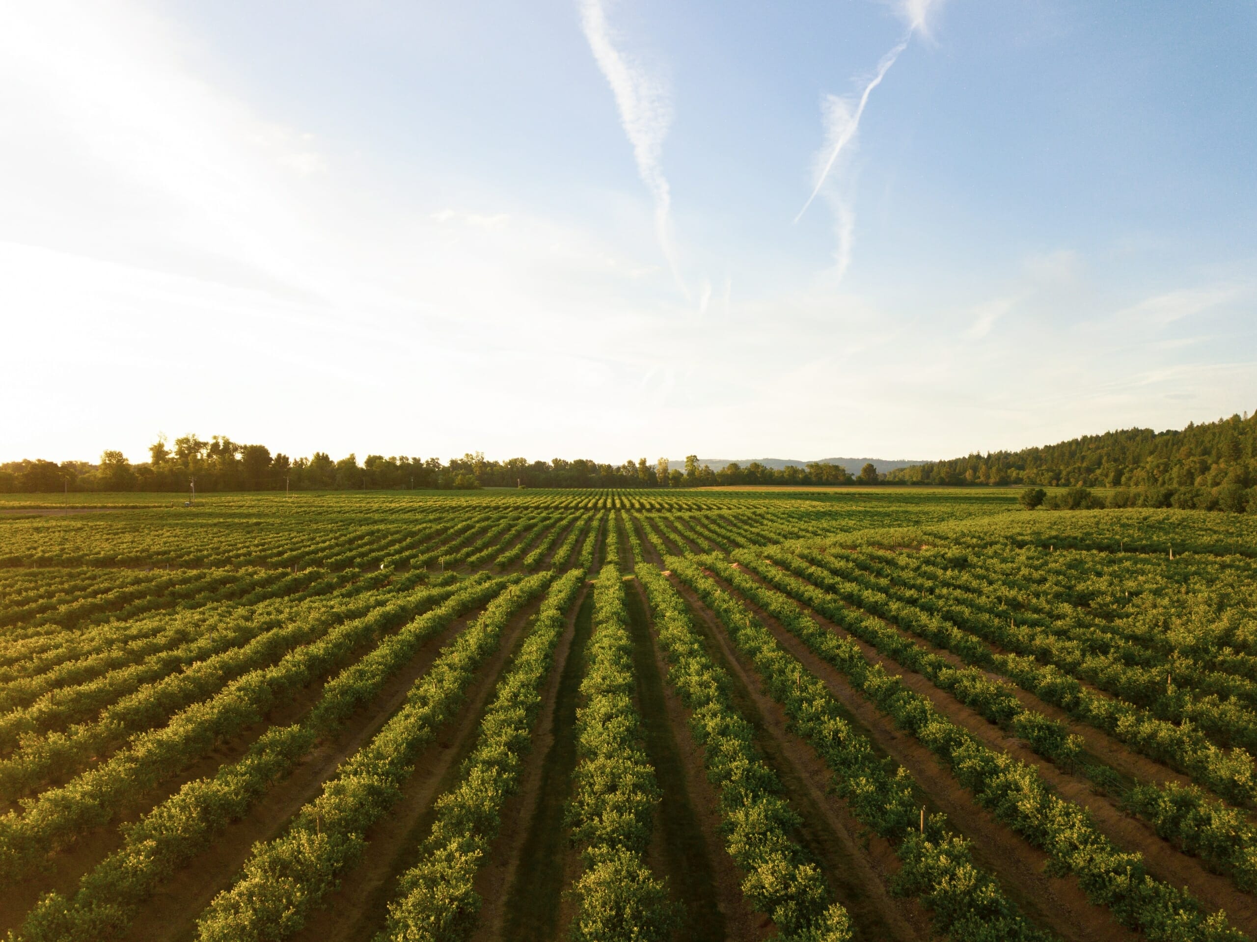 Farms that are delivering